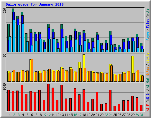 Daily usage for January 2010