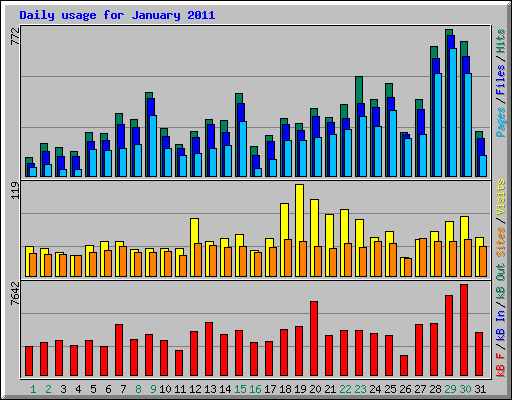 Daily usage for January 2011