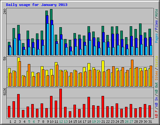 Daily usage for January 2013