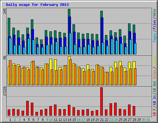 Daily usage for February 2013