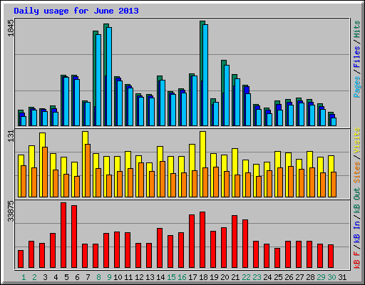 Daily usage for June 2013