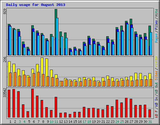 Daily usage for August 2013
