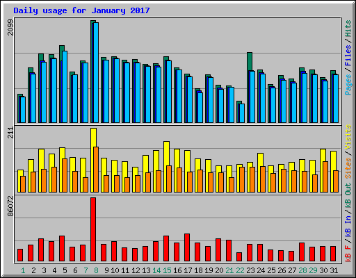 Daily usage for January 2017