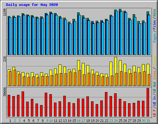 Daily usage for May 2020