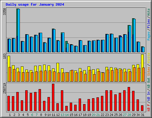 Daily usage for January 2024