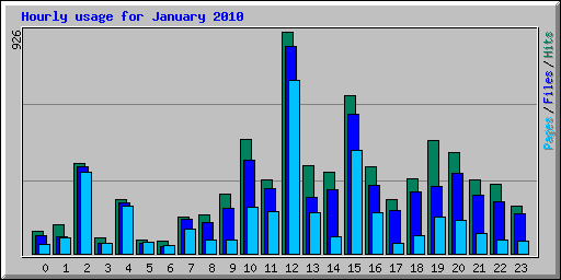 Hourly usage for January 2010