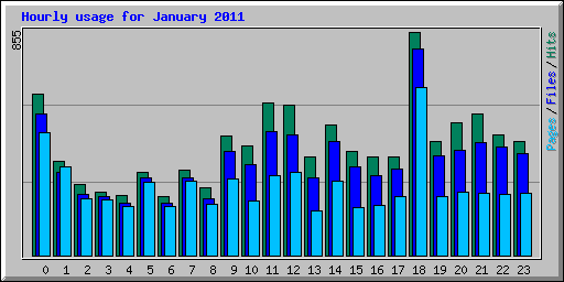 Hourly usage for January 2011