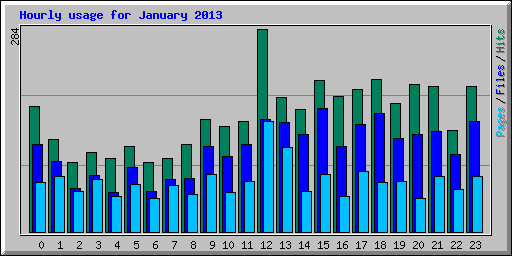 Hourly usage for January 2013