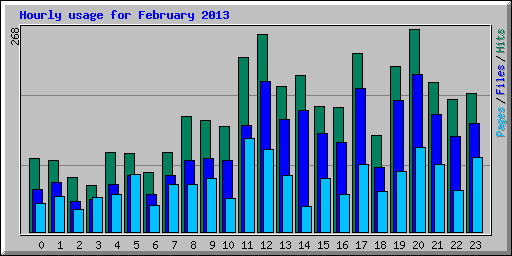 Hourly usage for February 2013