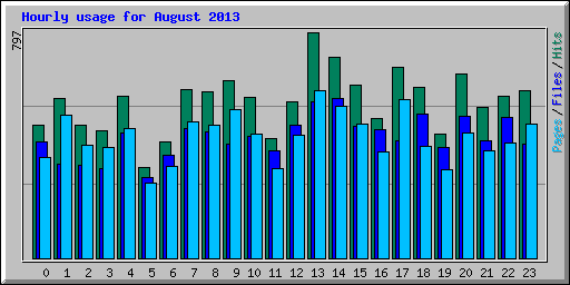 Hourly usage for August 2013