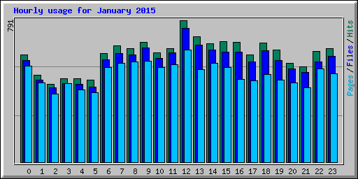 Hourly usage for January 2015