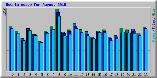 Hourly usage for August 2016