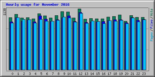 Hourly usage for November 2016