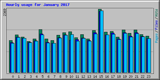 Hourly usage for January 2017