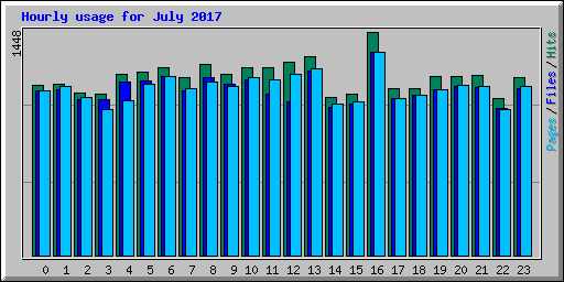 Hourly usage for July 2017