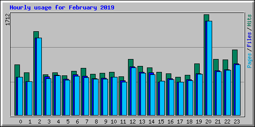 Hourly usage for February 2019