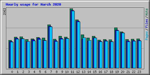 Hourly usage for March 2020