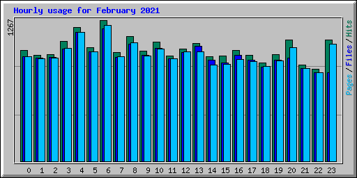 Hourly usage for February 2021