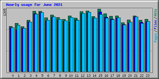 Hourly usage for June 2021