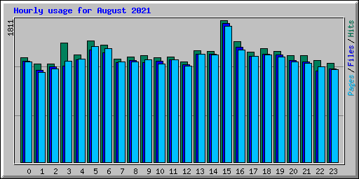 Hourly usage for August 2021