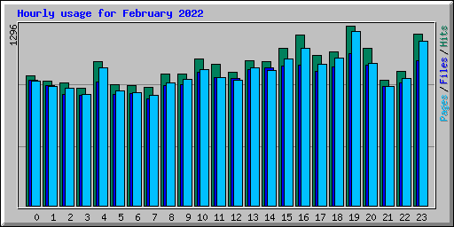 Hourly usage for February 2022