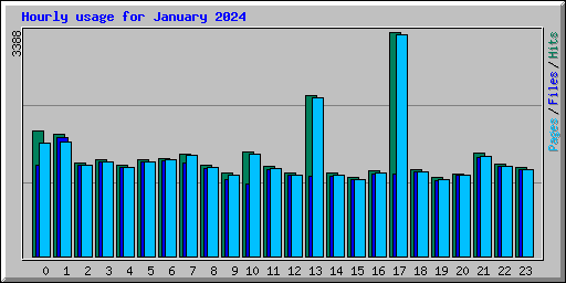 Hourly usage for January 2024