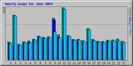 Hourly usage for June 2024