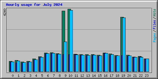 Hourly usage for July 2024