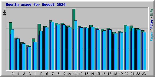Hourly usage for August 2024