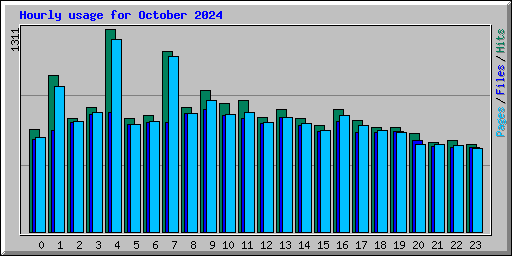 Hourly usage for October 2024